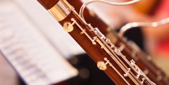 Musik schafft Harmonie!