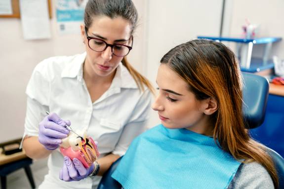 Zahnärztin zeigt Frau ein Modell einer Zahnwurzel
