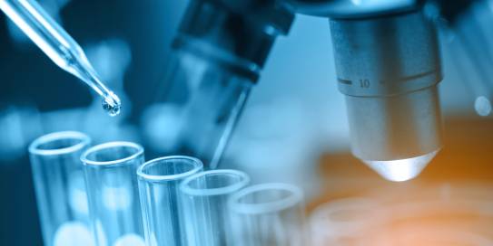 Mikroskop und Reagenzgläser